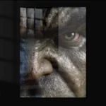 hulk-11.webp